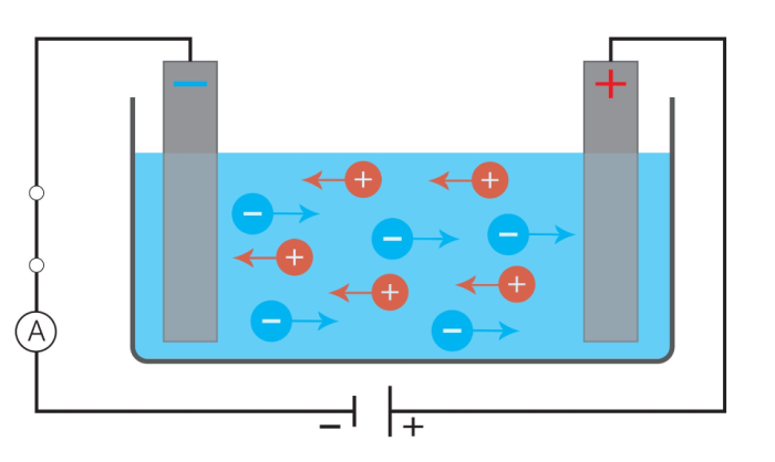 electrolyte